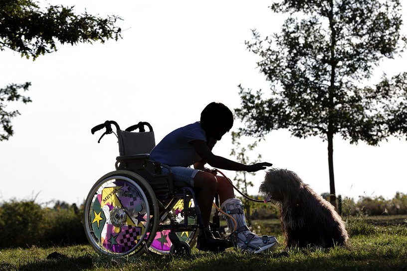 Ein Kind im Rollstuhl streichelt einen Hund.