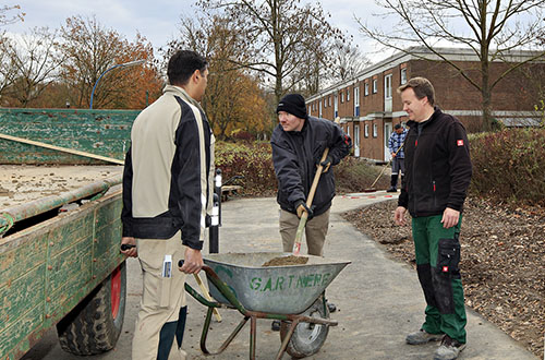 Drei Männer arbeiten in einer Gärtnerei.